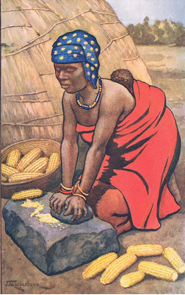 Woman grinding mealies, from MacMillan school posters, c.1950-60s a J. Macfarlane