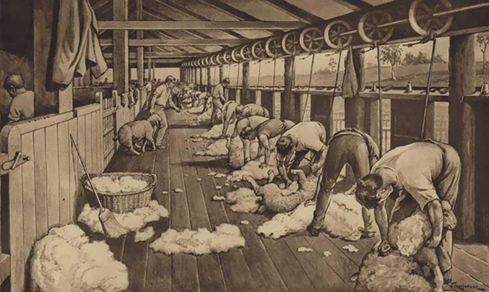 Sheep-shearing in Australia a J. Macfarlane