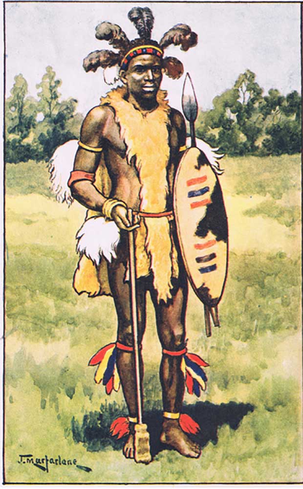 Zulu chief, from MacMillan school posters, c.1950-60s a J. Macfarlane