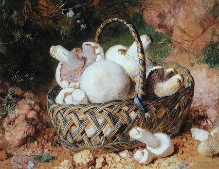 A Basket of Mushrooms a Jabez Bligh