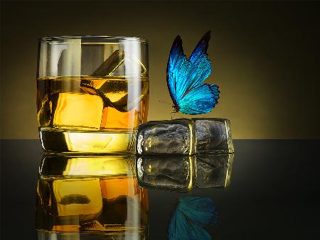 Butterfly Drink