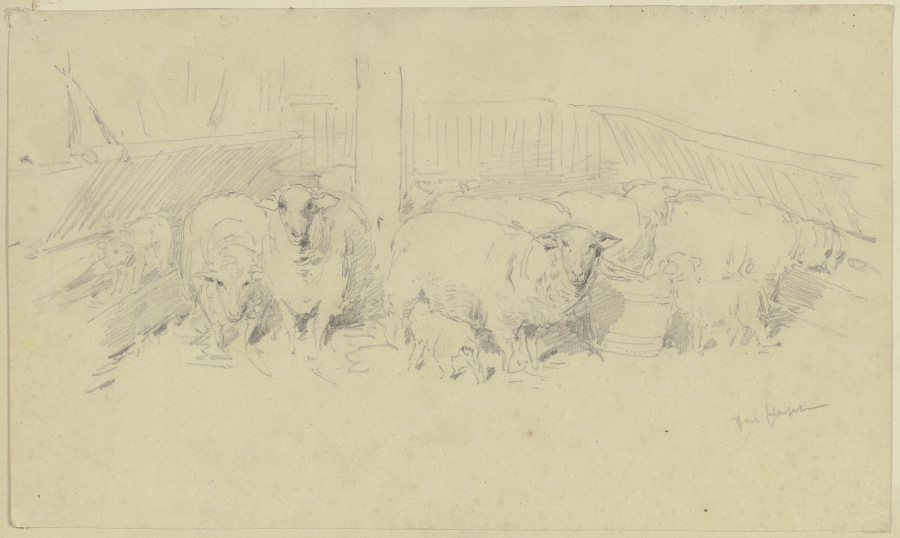 A sheepfold a Jacob Happ
