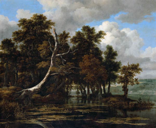 Oaks at a lake with Water Lilies a Jacob Isaacksz van Ruisdael