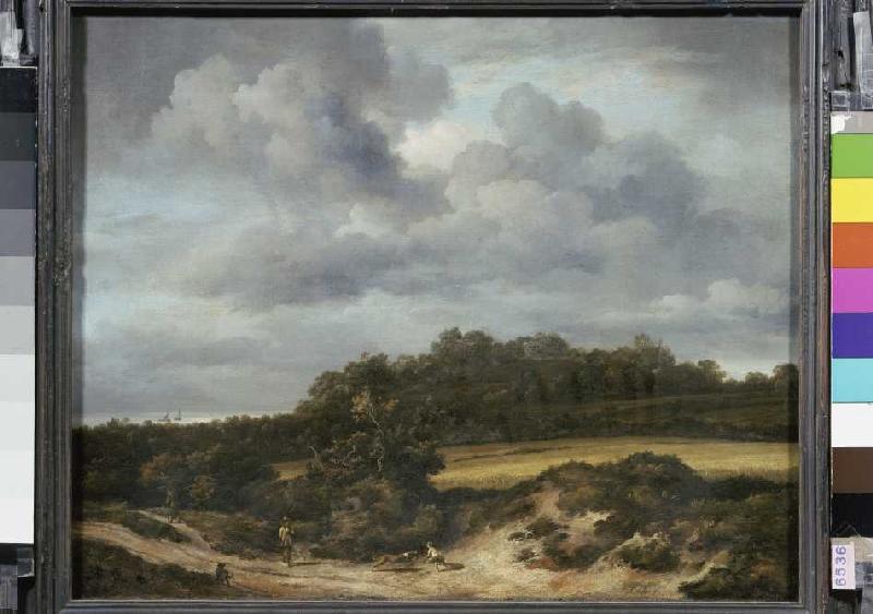 The cornfield. a Jacob Isaacksz van Ruisdael