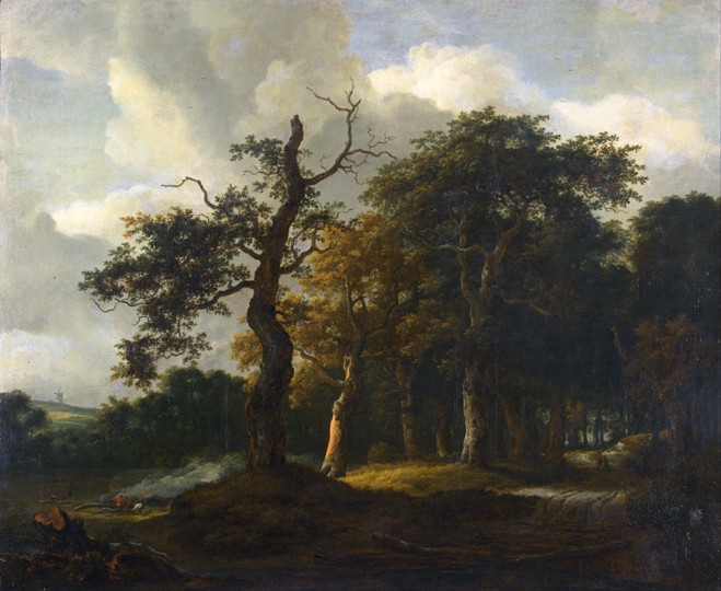 A Road through an Oak Wood a Jacob Isaacksz van Ruisdael