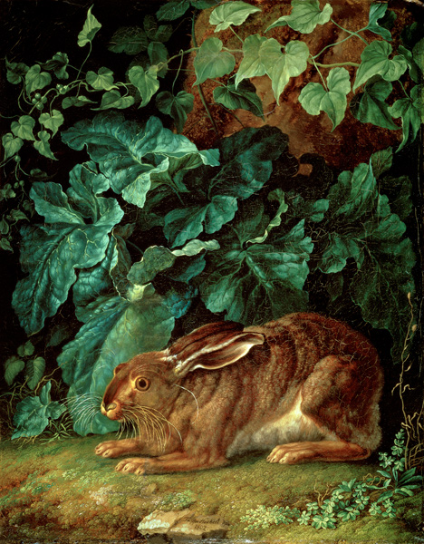 Una lepre nel sottobosco a Jacob Philipp Hackert