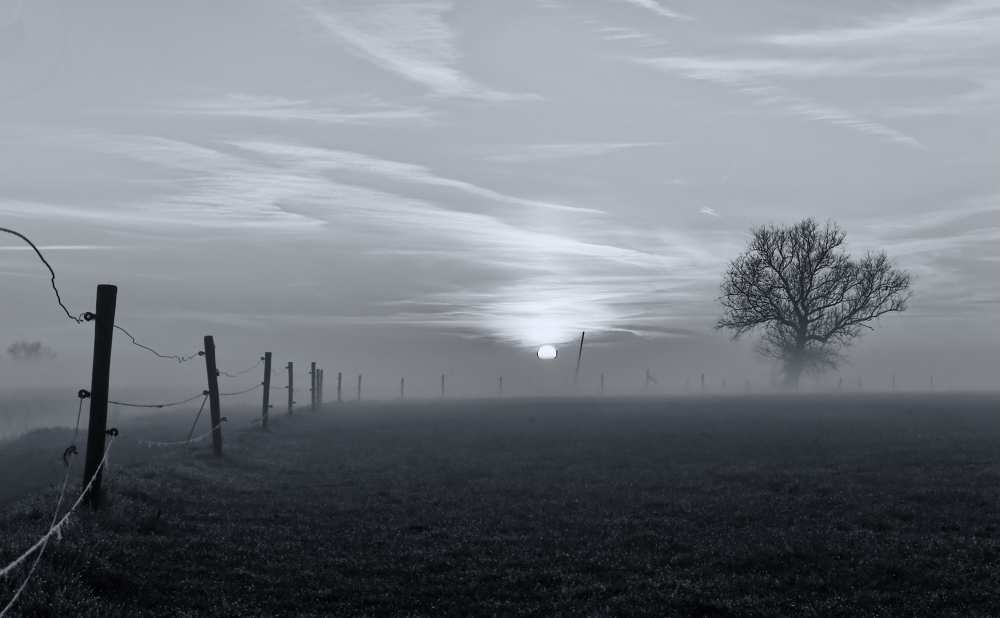 On a misty morning in March a Jacob Tuinenga