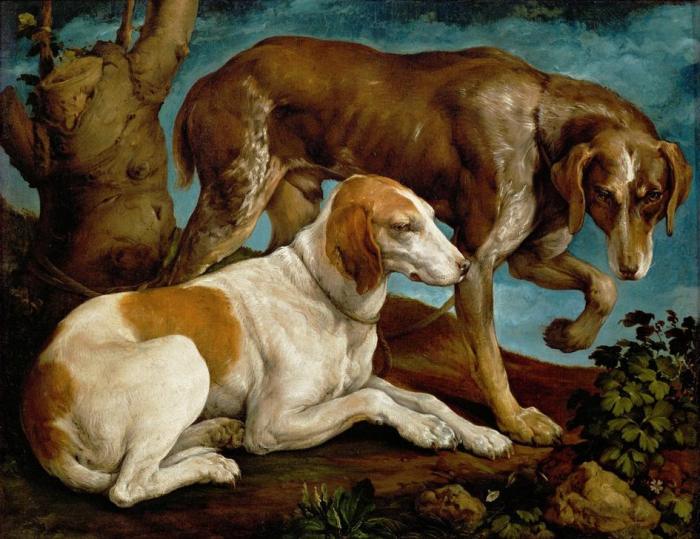 Zwei Jagdhunde, an einen Baumstumpf gebunden a Jacopo Bassano