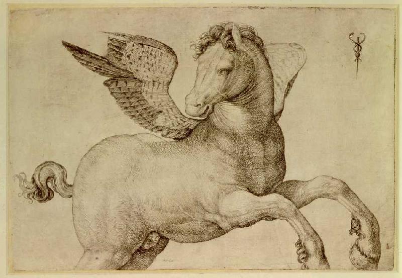 Pegasus. a Jacopo de Barbari