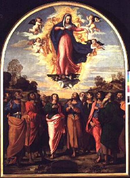 Assumption of the Virgin a Jacopo Palma