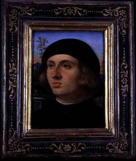 Portrait of a Young Man a Jacopo Palma il Giovane