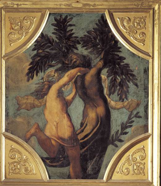 Tintoretto / Apollo and Daphne a Jacopo Robusti Tintoretto