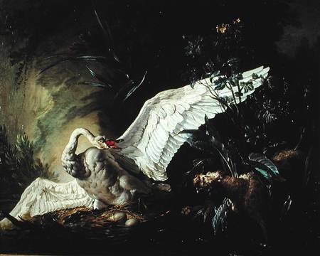 A Water Spaniel Attacking a Swan on its Nest a Jacques Charles Oudry