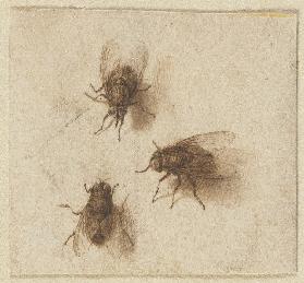 Three flies