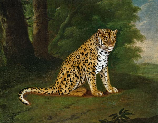 A Leopard in a landscape a Jacques-Laurent Agasse
