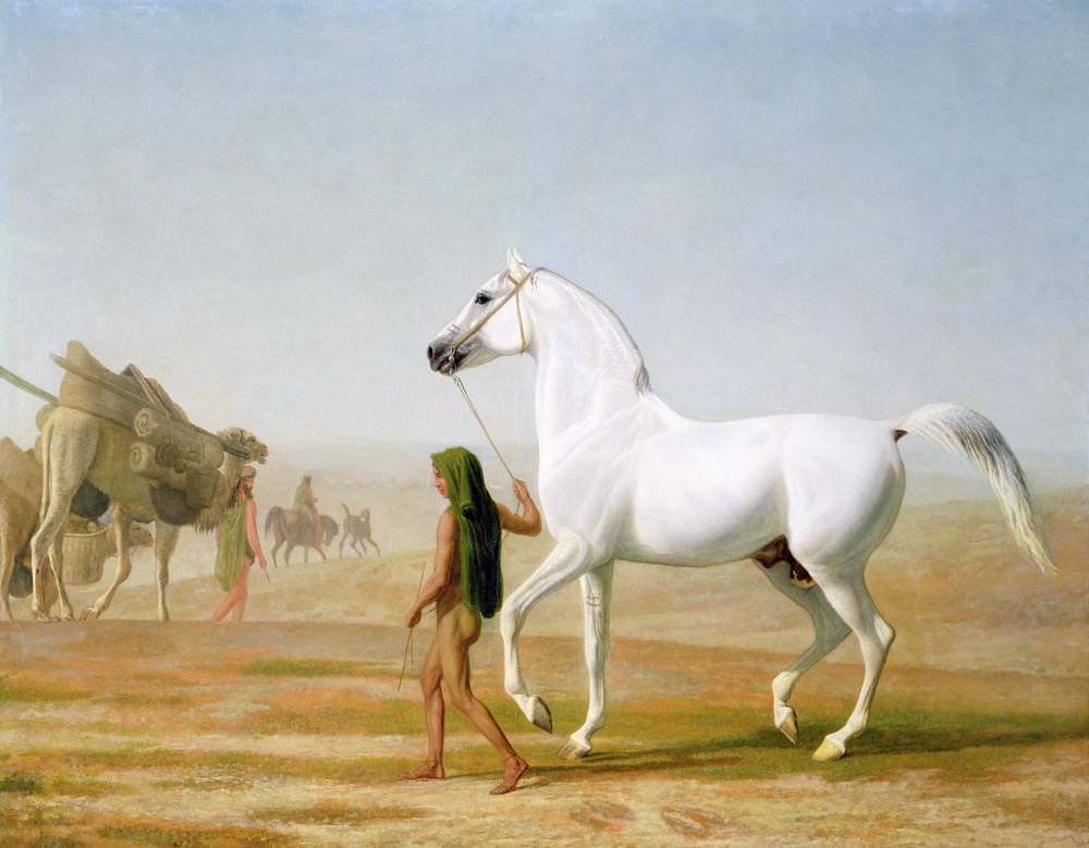 The Wellesley Grey Arabian Led through the Desert a Jacques-Laurent Agasse