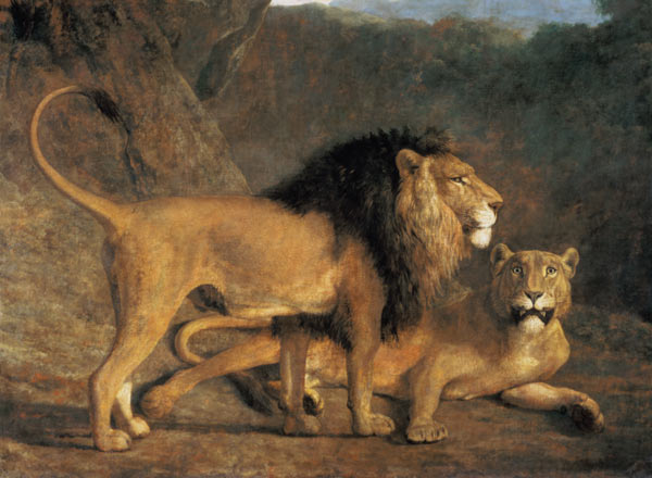 Lion and lioness in the Exeter Menagerie a Jacques-Laurent Agasse