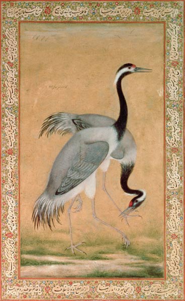 Cranes a Jahangir Period Mansur