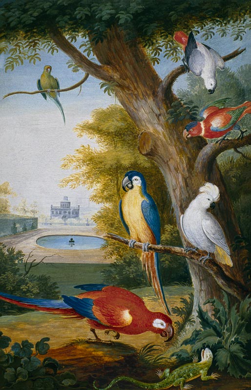 Parrots and a Lizard in a Picturesque Park a Jakab Bogdány