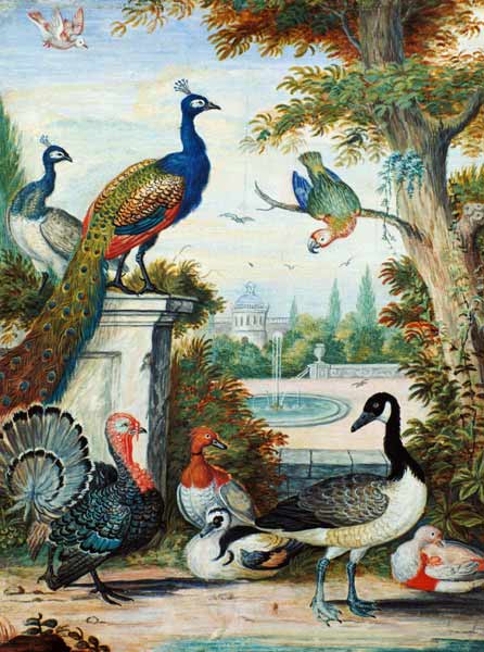 Exotic Birds and Domestic Fowl in a Picturesque Park a Jakab Bogdány