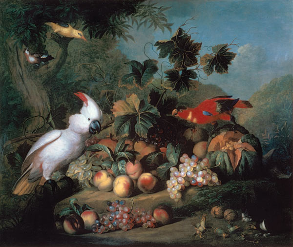 Fruit and Birds a Jakob Bogdani or Bogdany