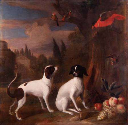 Two Dogs in a Landscape a Jakob Bogdani or Bogdany