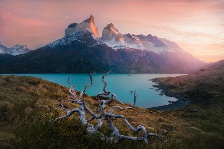 Morning in Torres del Paine