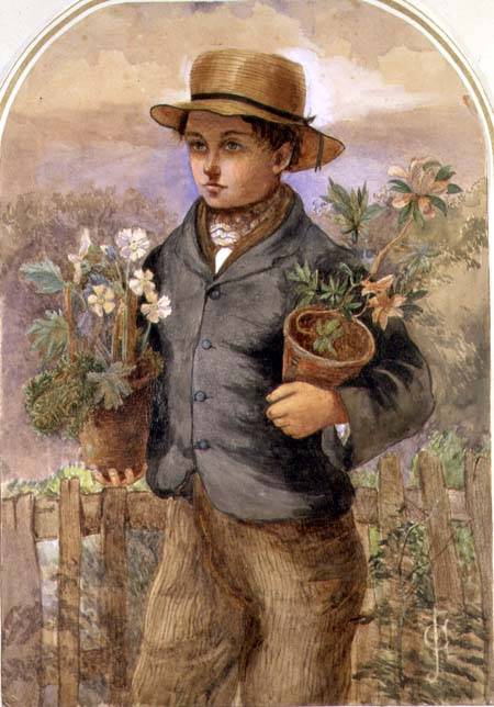 Garden Boy a James Collinson