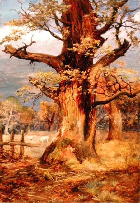 Blasted Oak, Galloway a James Jnr Faed