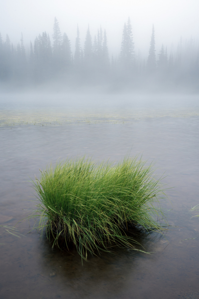 Morning at Reflection Lakes a James K. Papp