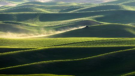 Palouse In Spring