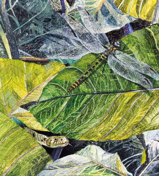 Water Snake and Dragon-fly, 1971 (oil on canvas) (detail of 240814)  a  James  Reeve