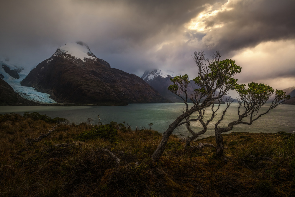 Southernmost Fjords a James S. Chia