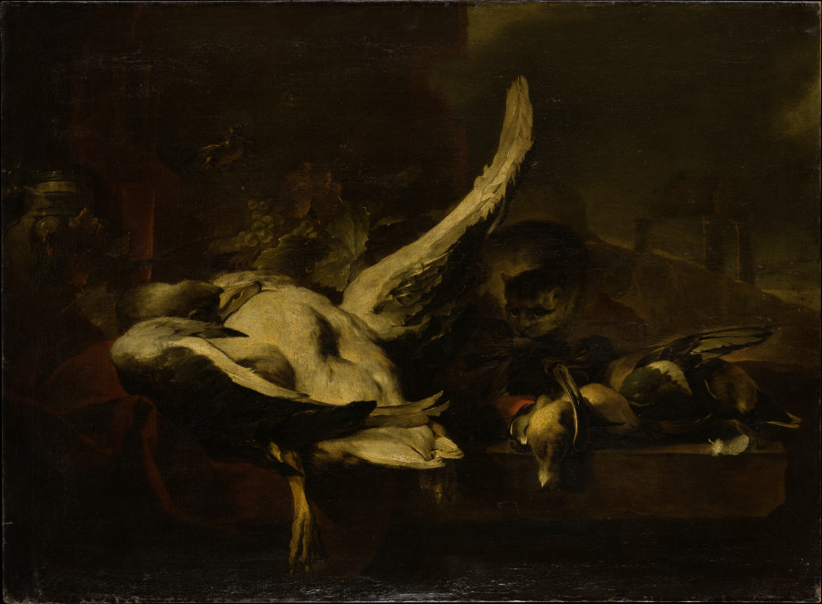 Dead Fowl Being Eaten by a Cat a Jan Baptist Weenix