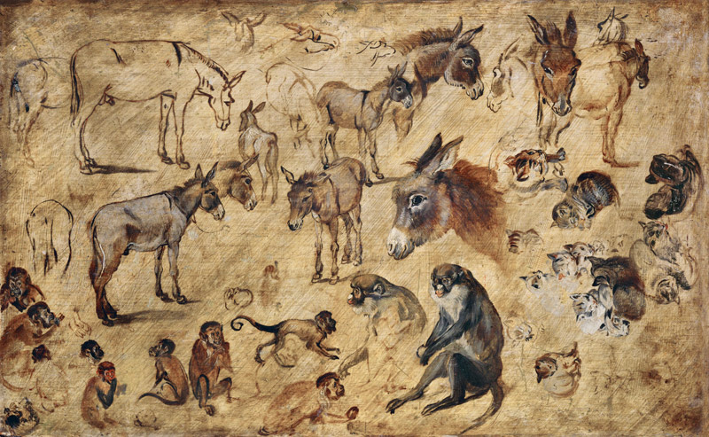 Animal Study a Jan Brueghel il Vecchio