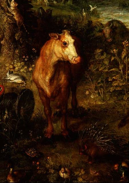Earth or The Earthly Paradise, detail of a cow, porcupine and other animals a Jan Brueghel il Vecchio