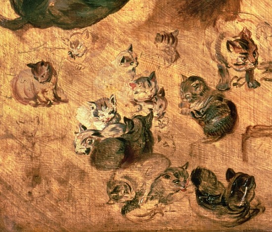 Study of cats, 1616 (detail of 65879) a Jan Brueghel il Vecchio
