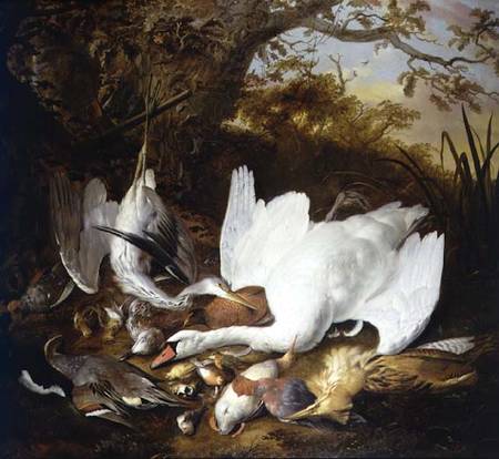 Still Life of Swan and Game in a Landscape a Jan de Wit