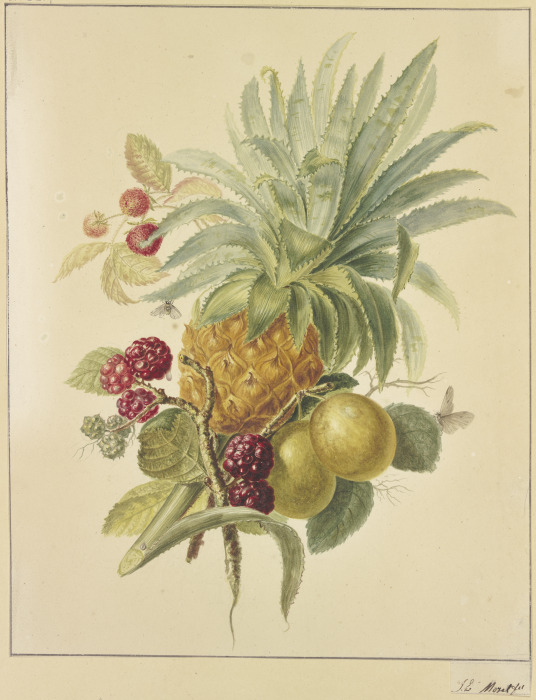 Eine Ananas, Pflaumen und Himbeeren a Jan Evert Morel