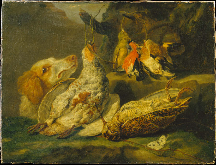 Still Life with Hunting Dog and Dead Fowl a Jan Fyt