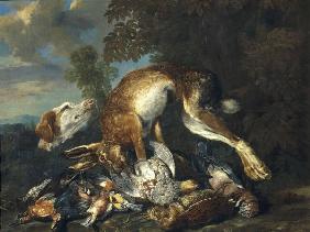 Jan Fyt / Game and Hound / Paint./ C17th