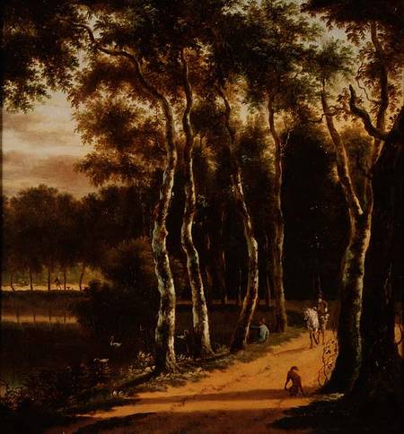 An Avenue of Birches Beside a River a Jan Hackaert