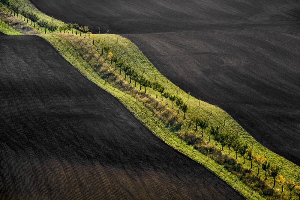 Moravian fields a Jan Sieminski - harb