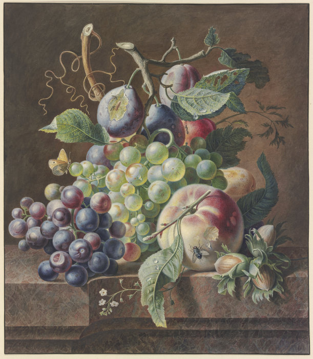 Früchtestück mit Pfirsich, Haselnuss,Trauben und Pflaumen a Jan van Huysum