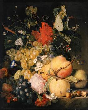 Fruits, flowers and insects