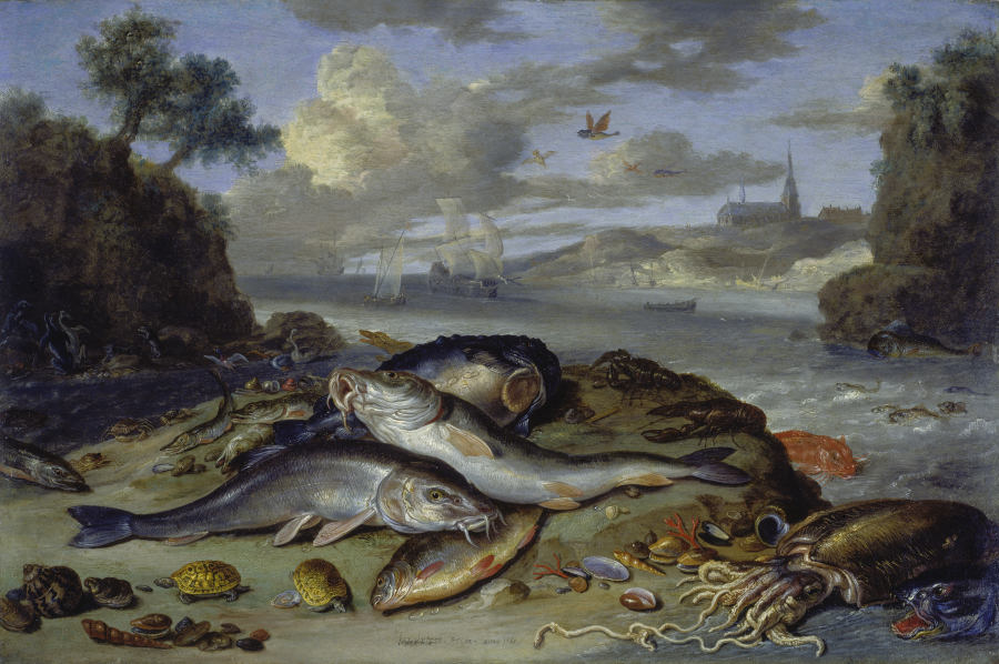 Still Life with Fish and Sea Animals in a Coastal Landscape a Jan van Kessel il vecchio