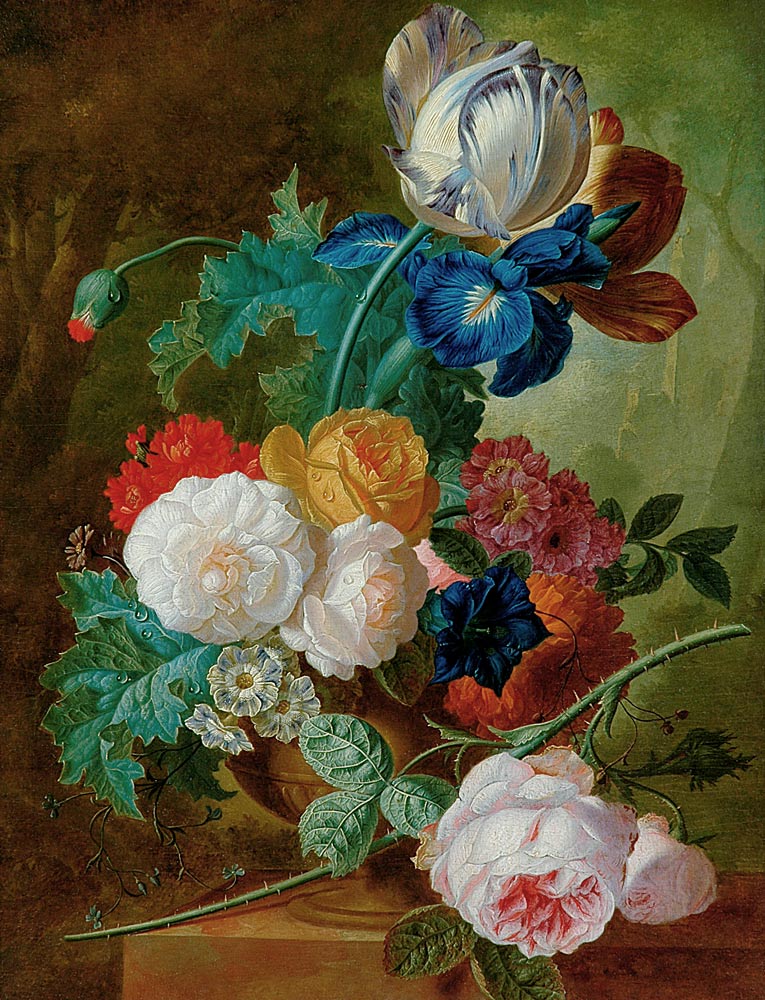 Still Life of Flowers (panel) a Jan van Os