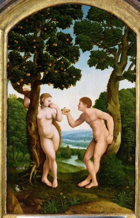 Adam and Eve in Paradise a Jan van Scorel