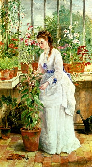 Young Lady in a Conservatory a Jane Maria Bowkett