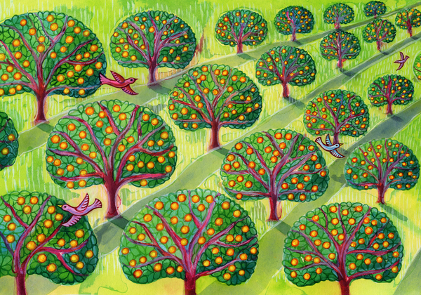 Orchard a Jane Tattersfield